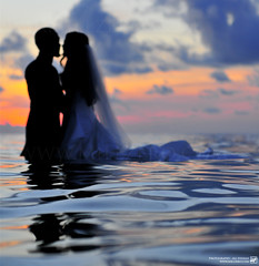 'Endless love' by Ali Nishan