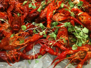 'Crayfish Party' by Victoria Reay