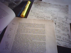 'Working on the Blog Marketing paper' by Kevin Lim