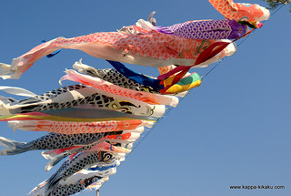 Tentama's photo on Flickr