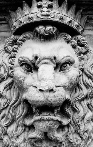 'King of Beasts' by Thomas Hawk